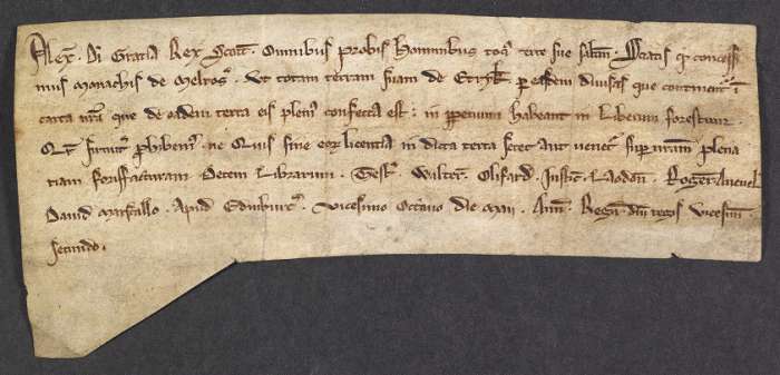 face of manuscript