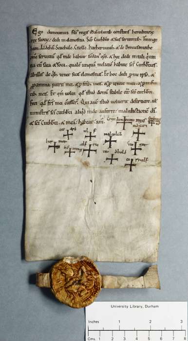 face: raking of manuscript