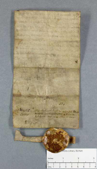 dorse of manuscript
