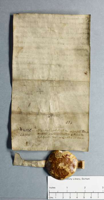 dorse: raking of manuscript