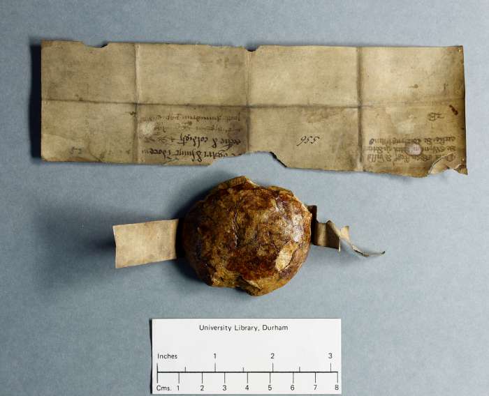 dorse: raking of manuscript