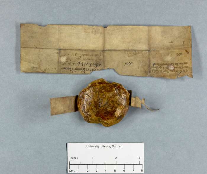 dorse of manuscript