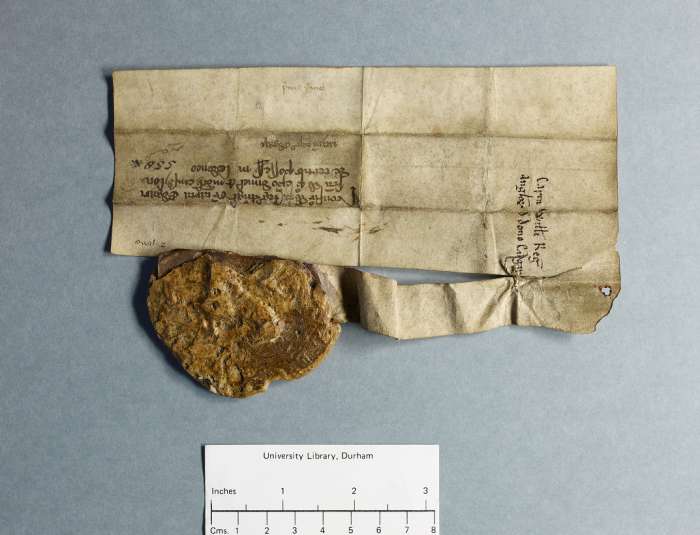 dorse: raking of manuscript