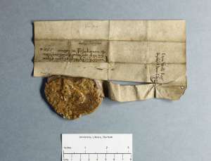 Manuscript image dorse: raking