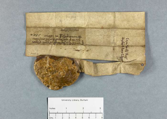 dorse of manuscript