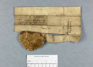 Manuscript image dorse