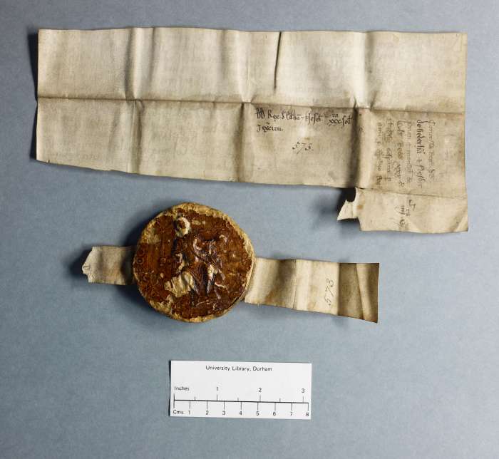dorse: raking of manuscript
