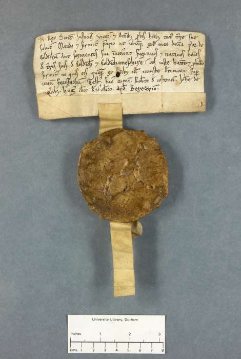 face of manuscript