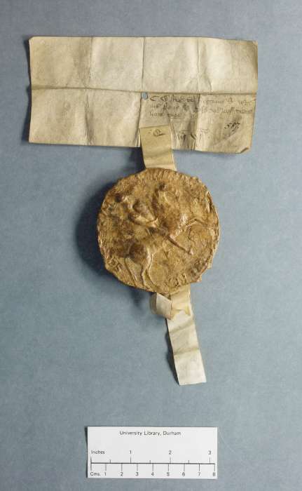 dorse: raking of manuscript