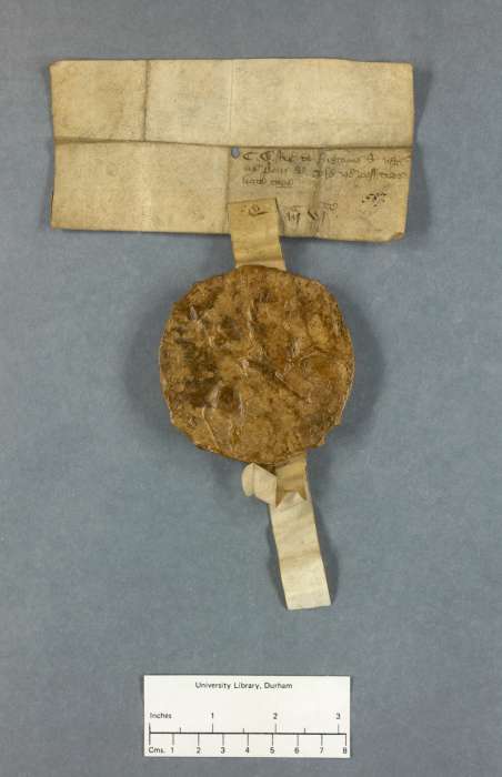 dorse of manuscript