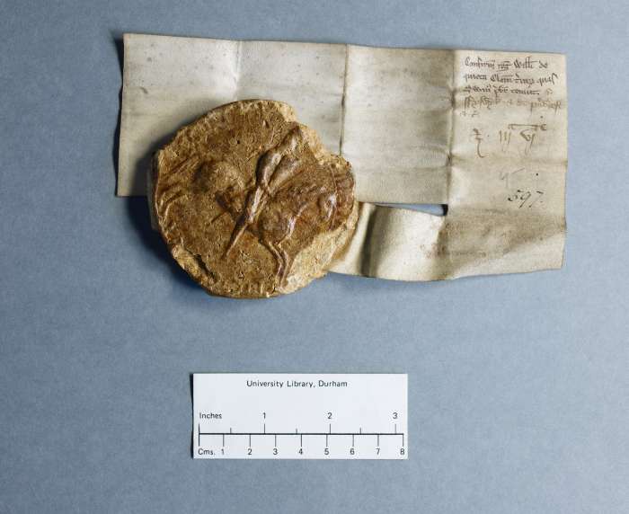 dorse: raking of manuscript