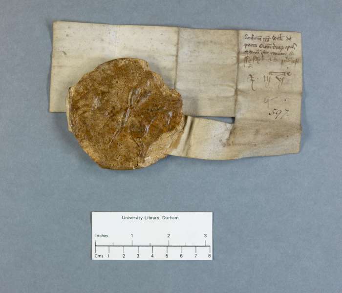 dorse of manuscript