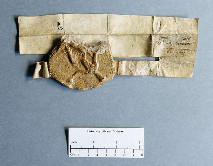 dorse of manuscript