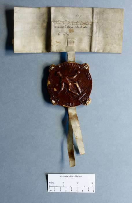 dorse: raking of manuscript