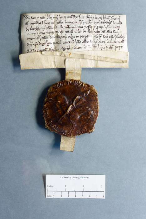 face: raking of manuscript