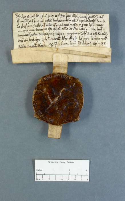 face of manuscript