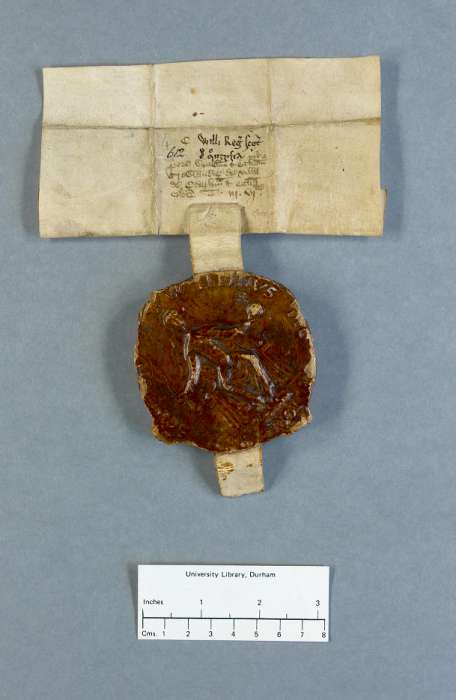 dorse of manuscript