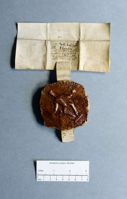 dorse: raking of manuscript