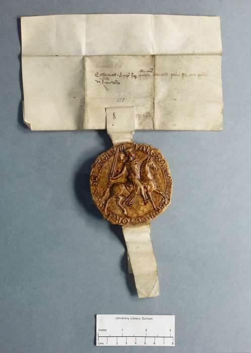 dorse: raking of manuscript