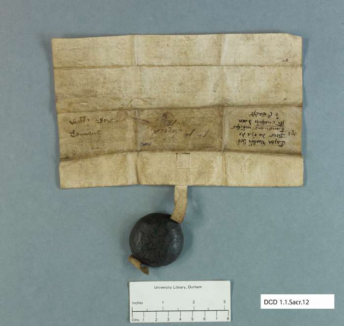 dorse of manuscript