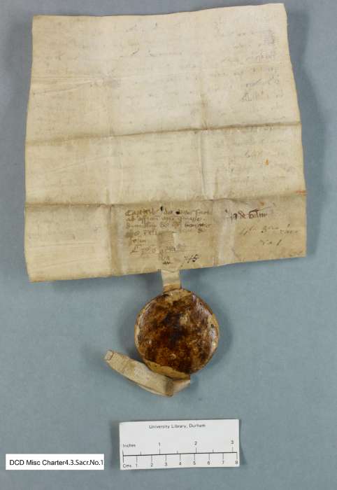 dorse of manuscript