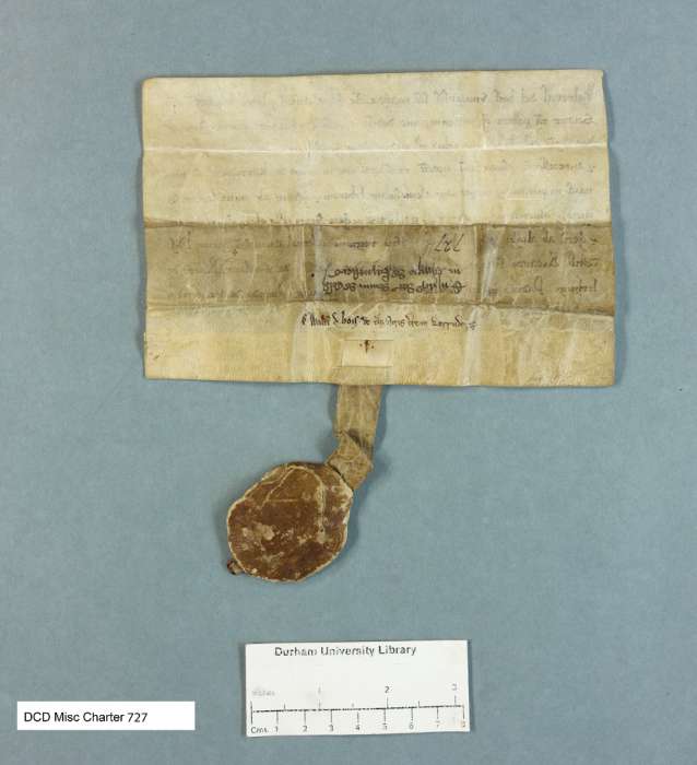 dorse of manuscript