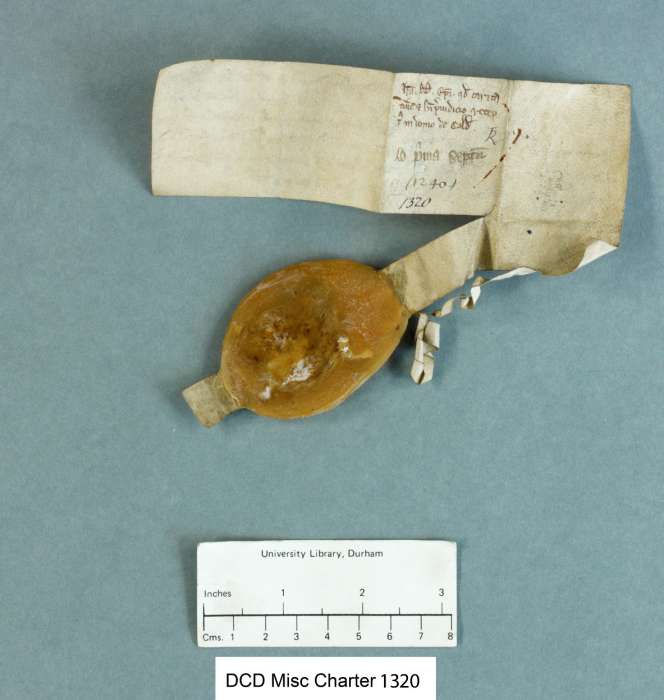 dorse of manuscript