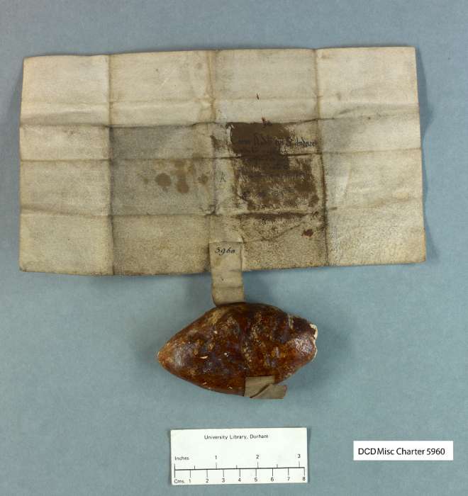 dorse of manuscript