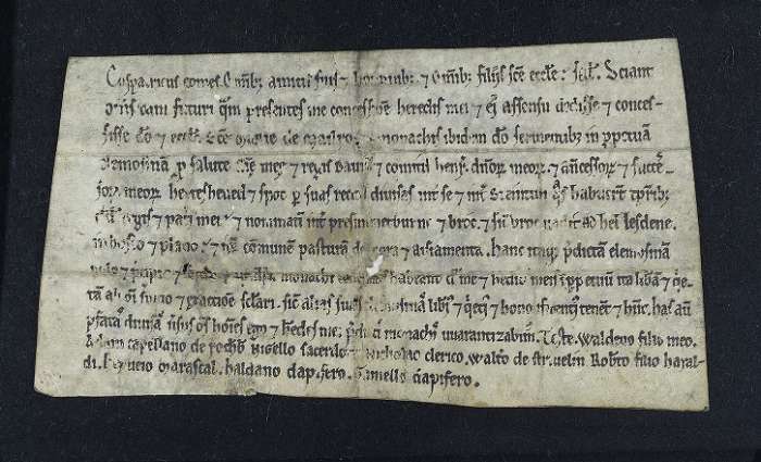 face of manuscript