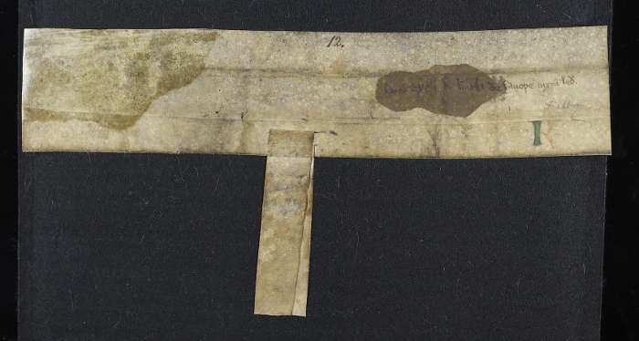 dorse of manuscript