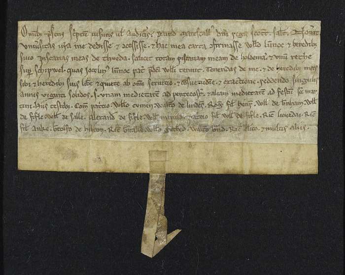 face of manuscript