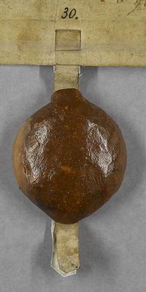 Manuscript image seal
