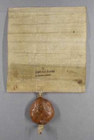 Manuscript image dorse