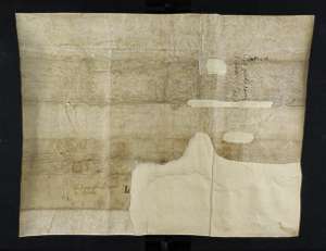 Manuscript image dorse