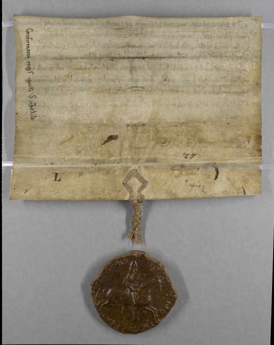 dorse of manuscript