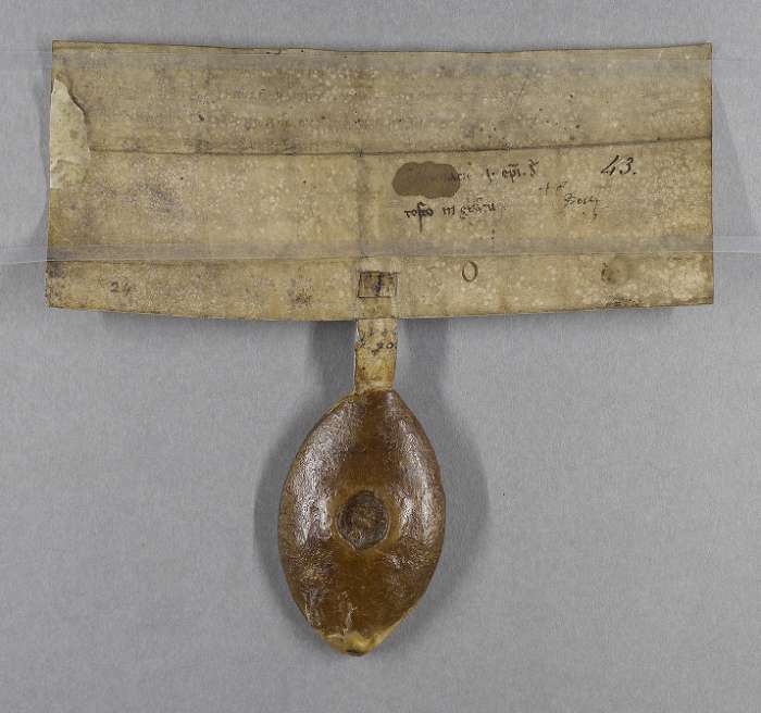 dorse of manuscript