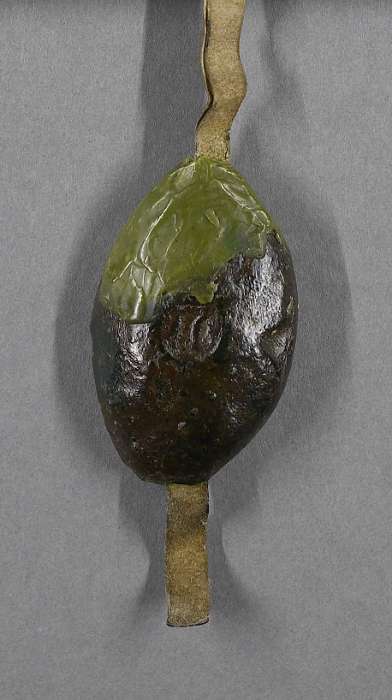 seal of manuscript