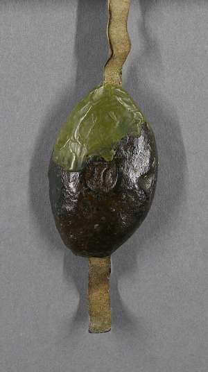Manuscript image seal