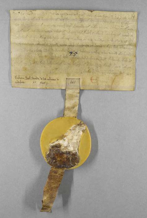 dorse of manuscript